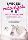 sv�cen&iacute; mlad&yacute;ch v&iacute;n 2025